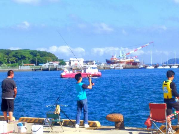 海釣り体験ﾚﾝﾀﾙ釣竿 まるへい遊び隊