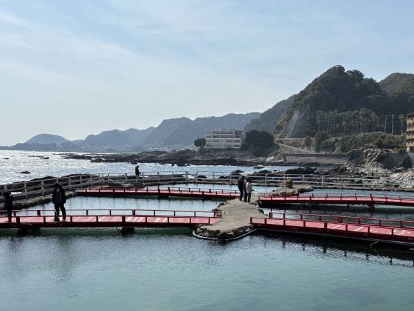 太海フラワー磯釣りセンター